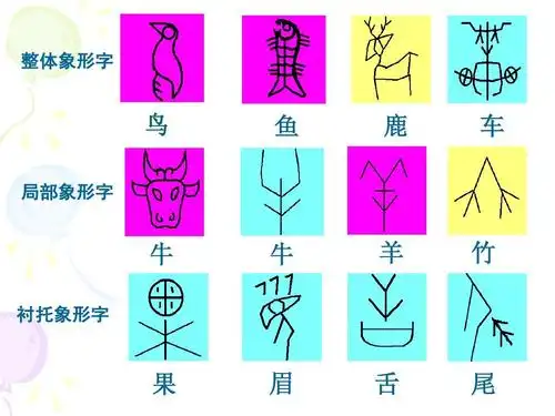 整体象形字 鸟 局部象形字 鱼 鹿 车 牛 衬托象形字 牛 羊 竹 果 眉