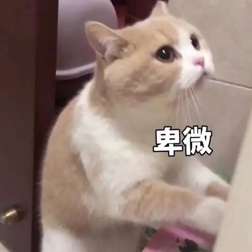 卑微_卑微表情包大全_斗图大全