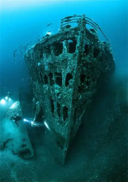 你有没有深海恐惧症看完这33张图就会知道