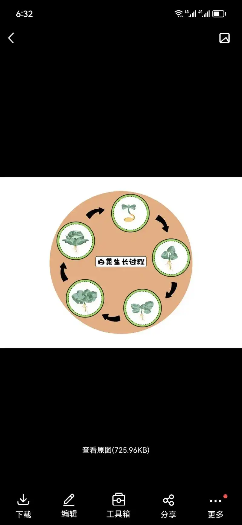 植物的生长过程.白菜生长过程图#环创素材 #环境创设 #植物 - 抖音