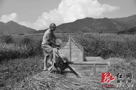 蓝山:"打谷机"的演变史