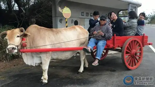 瓦棚搭牛车 感受昔日老农村的慢活时光 | ettoday