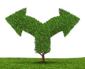 增长决策和选择困境与两个箭头 i>形 /i> i>状 /i>的 i>树 /i>在相反