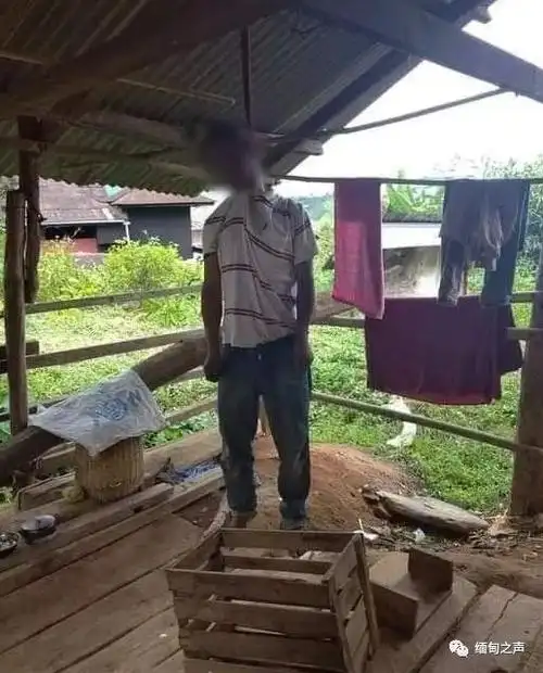 掸邦北部一男子上吊自杀曾是一名采茶人