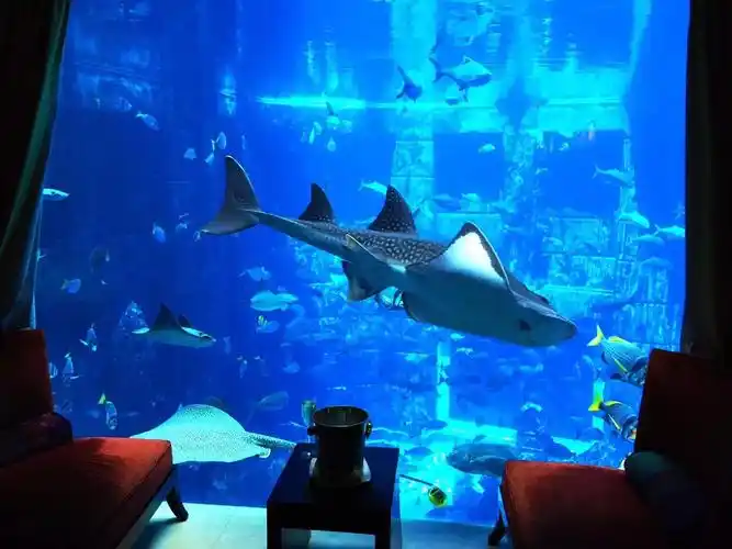 迪拜亚特兰蒂斯波塞冬海底套房