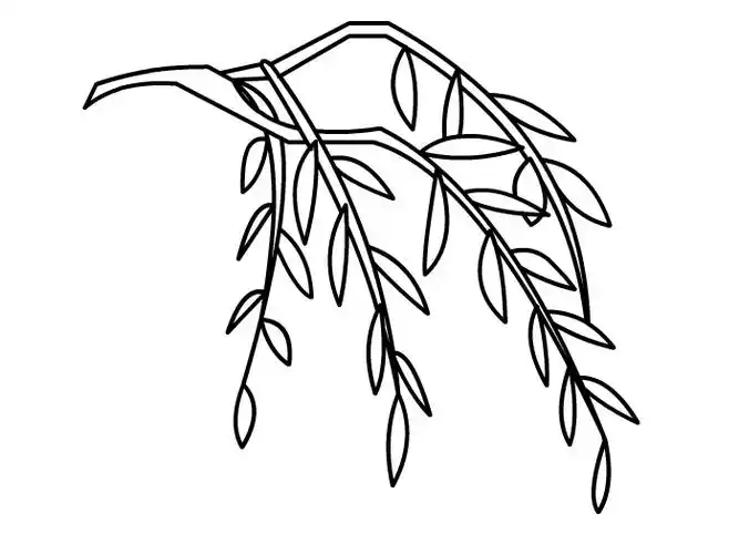 柳叶怎么画 柳叶简笔画-养娃家