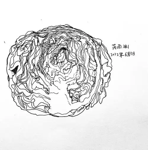 画画  #少儿美术  #线描写生