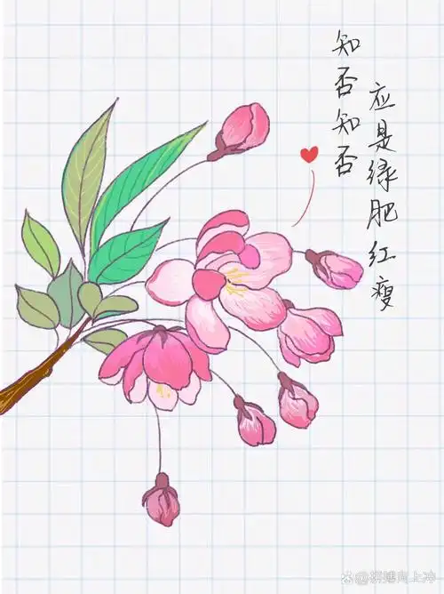 海棠花简笔画|零基础也可以画的很美 94知否知否应是绿肥红瘦 马上