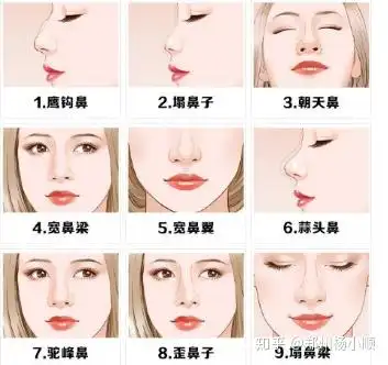 关于鼻型 - 知乎