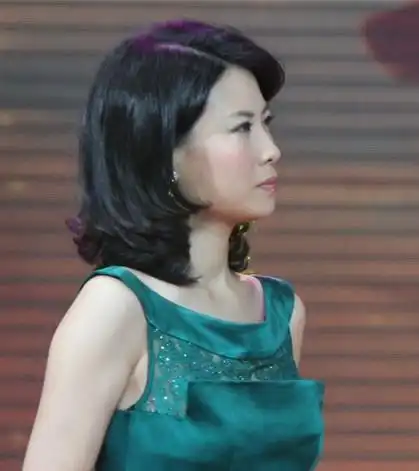 图聚焦三农主持人张玮图片清晰的介绍了中国现存的三农问题