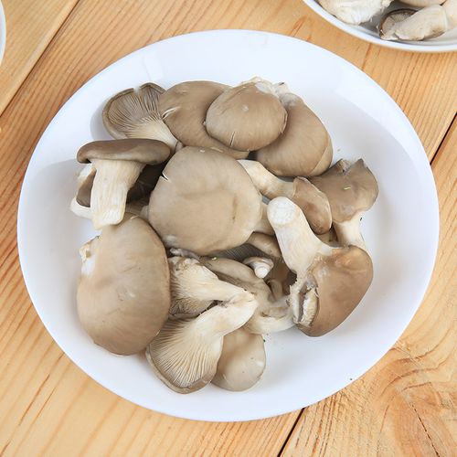 小白平菇200g新鲜松茸