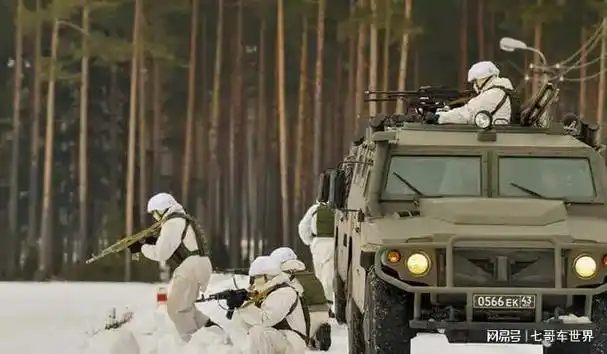 精锐中的精锐, 详解俄罗斯陆军8大格鲁乌特种部队旅