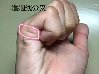 2,婚姻线末端上升 较善于持家的贤妻良母型,多数会把自己的家庭收拾得