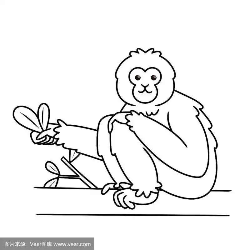 矢量插图的长臂猿孤立在白色背景.儿童涂色书.