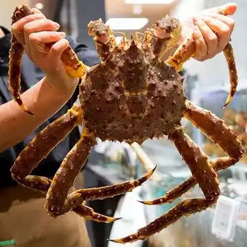 冰鲜帝王蟹海鲜水产新鲜长脚蟹海蟹特大螃蟹酒店自助餐供应皇帝蟹