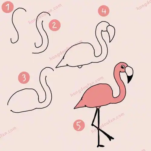 一步一步学习画粉红色的火烈鸟-红豆饭小学生简笔画大全