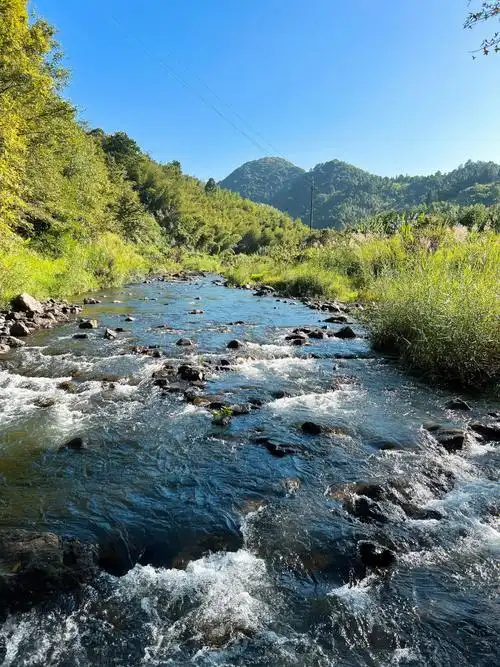 抓住夏天的尾巴去从化下溪村溯溪咯