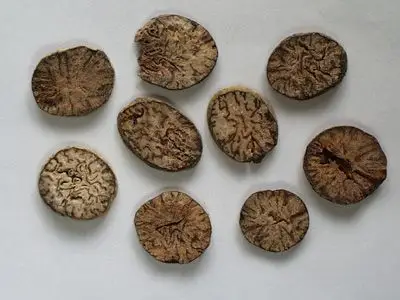 草豆蔻和肉豆蔻图片有什么区别呢