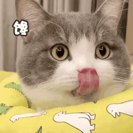 萌宠 猫星人 给我整一口 馋 搞怪 逗