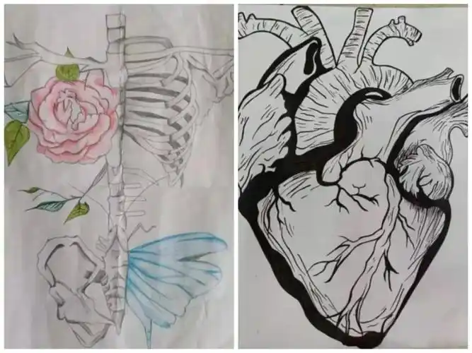 护理学院举办绘出生命色彩手绘解剖图谱大赛