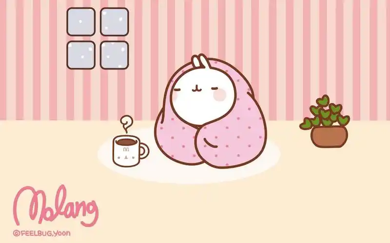 精选可爱的兔子桌面壁纸下载2