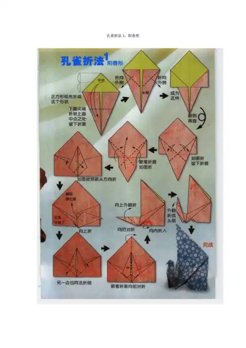 孔雀的四种折法.doc