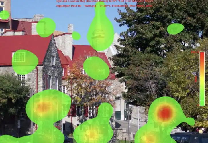 eyelink data viewer允许您创建注视图(fixation map),基于单个被试或