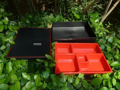 日式便当盒 商务套餐盒 饭盒 快餐盒 料理盒 送餐盒 木纹_7折现价19元