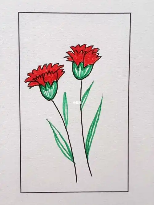 简笔画康乃馨