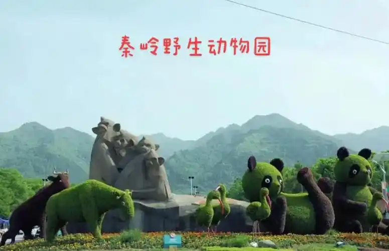 秦岭野生动物园游玩攻略.遛娃vlog |秦岭野生动物园9817 - 抖音