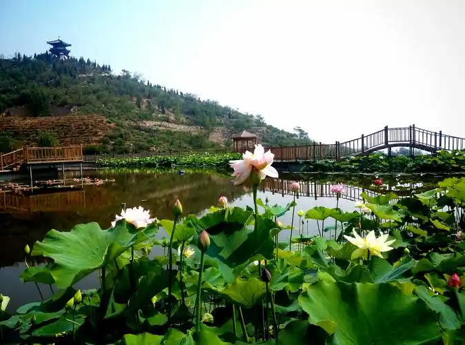 2023五岩山景区游玩攻略,景色优美,环境宜人,以孙思.【去哪儿攻略】