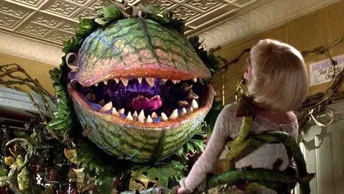 甚至网络上还传言,有多位学者发现了一种巨型能够吞食老鼠的食肉植物