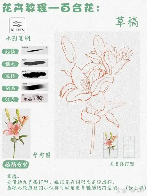 水彩入门|百合花|花卉篇保姆级绘画教程
