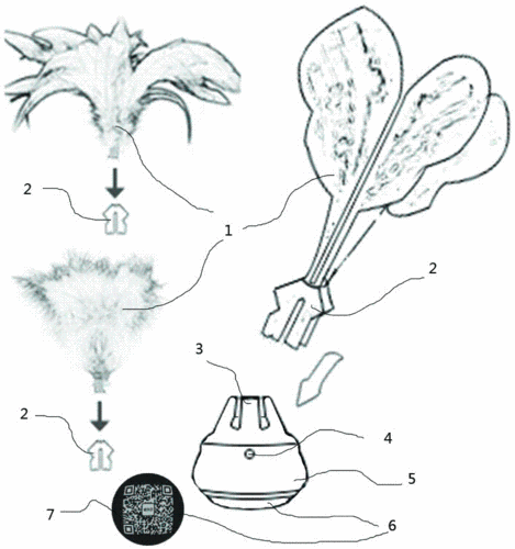 智能健身运动组合式毽子毽球的制作方法
