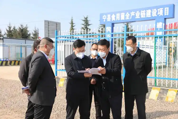 冯毅督查宁县复工复产和重点项目建设工作--信息新报