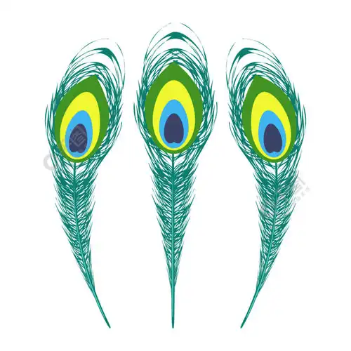 一套五颜六色的孔雀羽毛被白色背景隔离一套五颜六色的孔雀羽毛