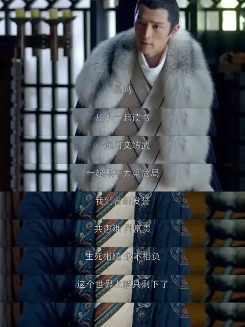 琅琊榜上一辈的故事线