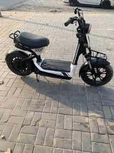 正品捷安特133s电动车,刚换的48-20新电池不到一年,续