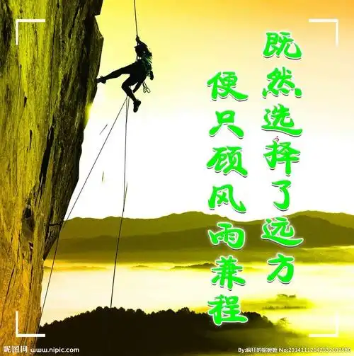 写美篇奔赴中 不仅要能在 阳光下灿烂 也要能在 风雨中奔跑 真正的