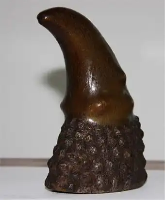 上海有正规拍卖亚洲犀牛角的公司吗