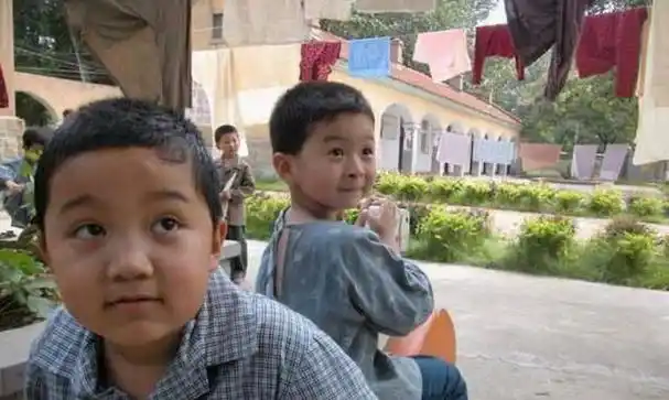 在娱乐圈中,夏雨,小雪,刘星这三个名字仿佛穿越了时空,引发人们对于