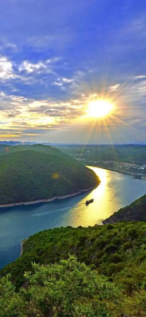 什么你还不会在微信养宠物