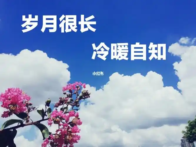 看淡一点再努力一点