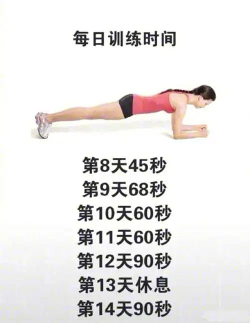 平板支撑28天训练法消除你的小肚腩