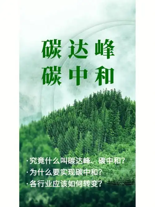什么是碳达峰碳中和71为什么要实现71
