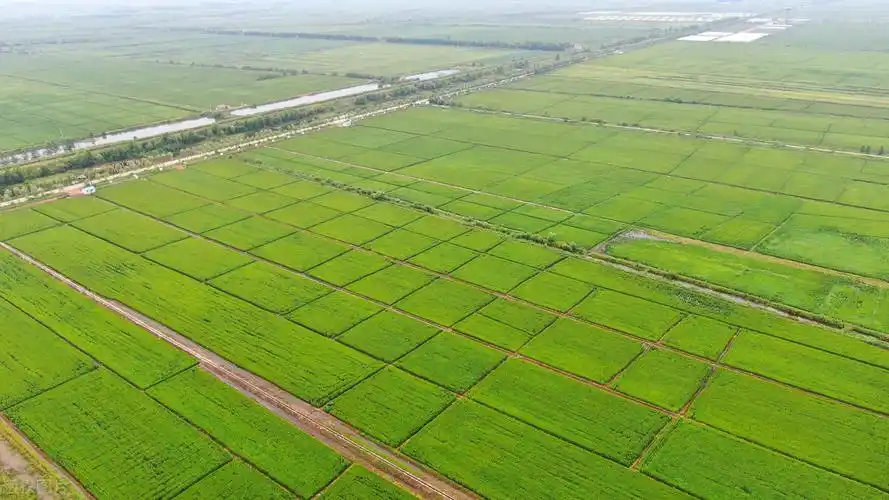 农田征收多少钱一亩一亩地值多少钱