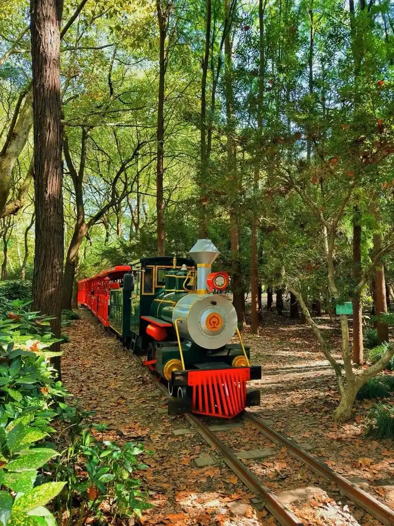 上海共青森林公园,现实版莫奈花园.