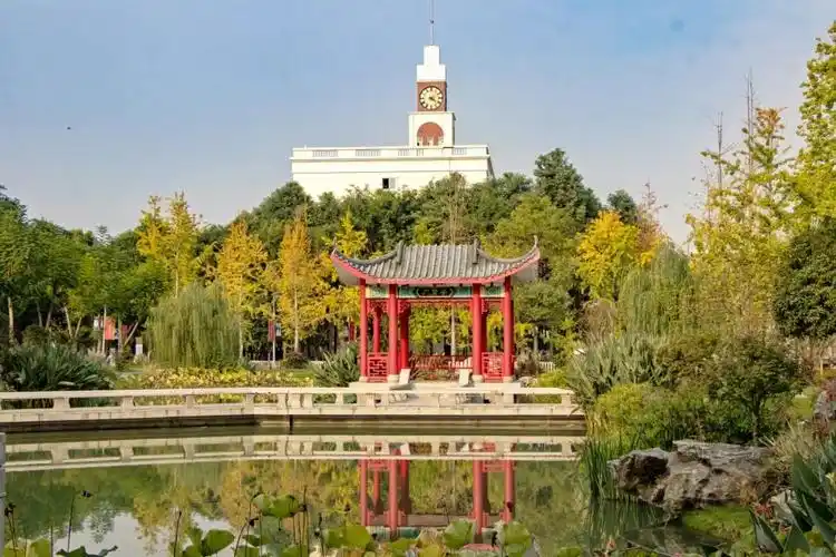 【艺考简章】2024年四川电影电视学院艺术类专业招生简章_四川美术招