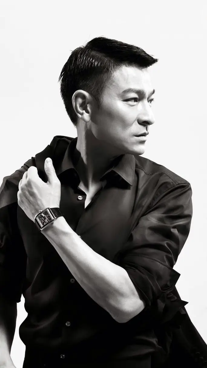 独自去偷欢:刘德华