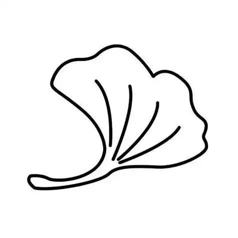 银杏树叶植物简笔画步骤图片大全二-儿童简笔画大全